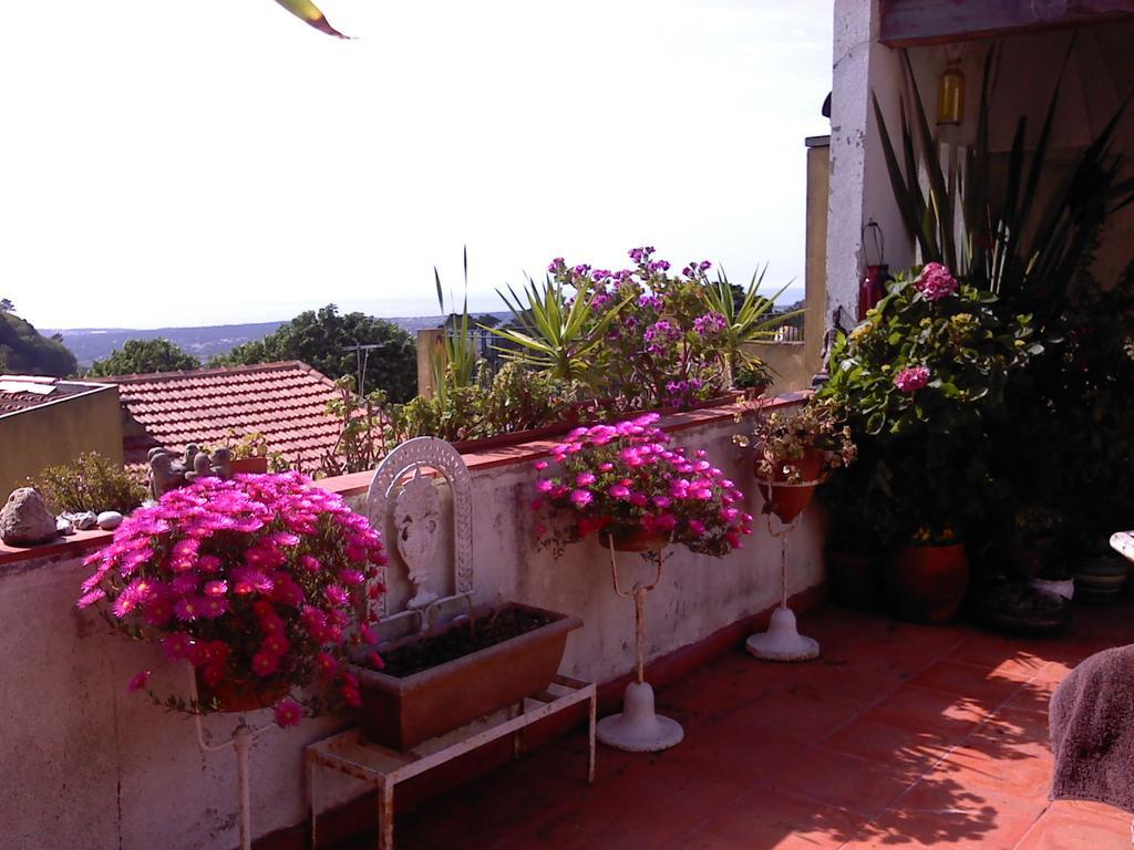 Isa'S Home Sintra Ngoại thất bức ảnh